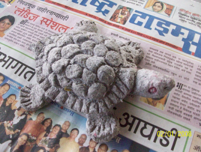2008 Turtle festival – supported with paper pulp turtle – KAGADSHILPA