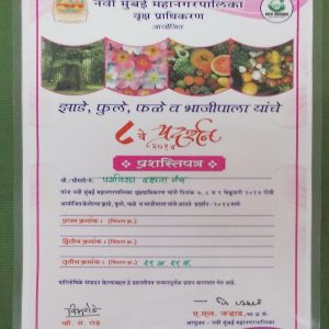 8th Navi Mumbai Mahanagarpalika, Vrukshadhikaran, Certificate (2014)
