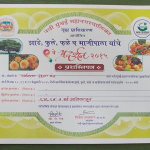 9th Navi Mumbai Mahanagarpalika Vrukshapradhikaran certificate-2015