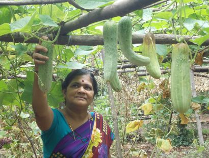 2011,Organic farming