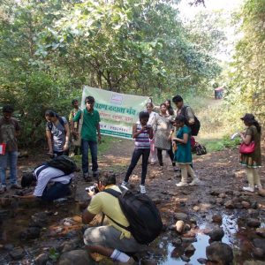 1. 2011 Yeoor Nature Trail