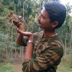 26. Rescued Mouse Deer at Dandeli Naturetrail