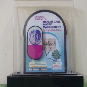 National Seminar On Health Care Waste Management(2006, Thane Mahaashtra)