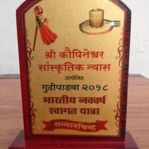 Gudhipadva 2018 – Nav varsh Swagat yatra ( 3rd Prize)