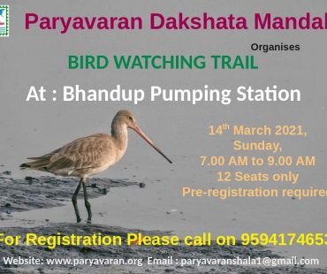 Birdwatching at Bhandup Pumping Station