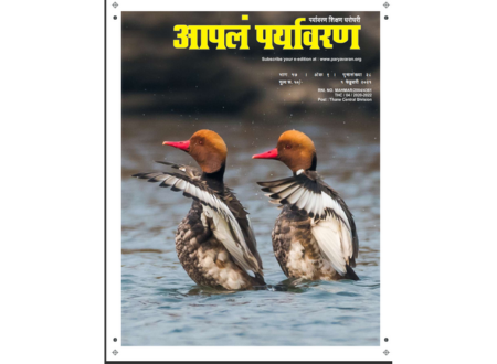 APALA PARYAVARAN MAGAZINE FEB 2021