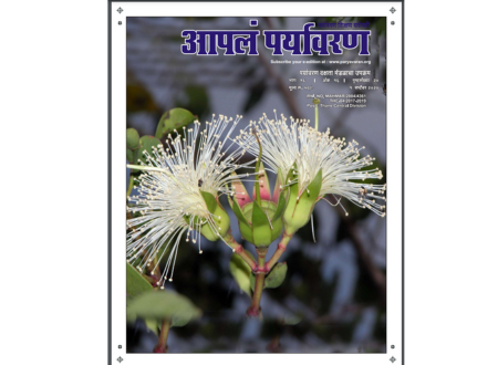 APALA PARYAVARAN MAGAZINE SEPT 2020